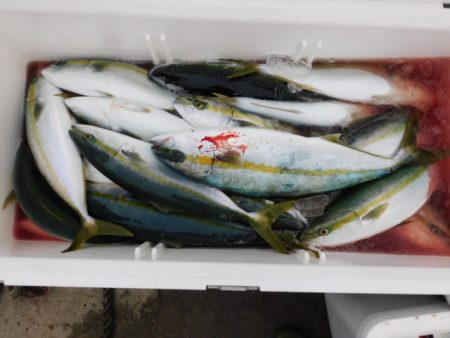 ジギング船 BLUEWATER 釣果