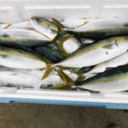 ジギング船 BLUEWATER 釣果