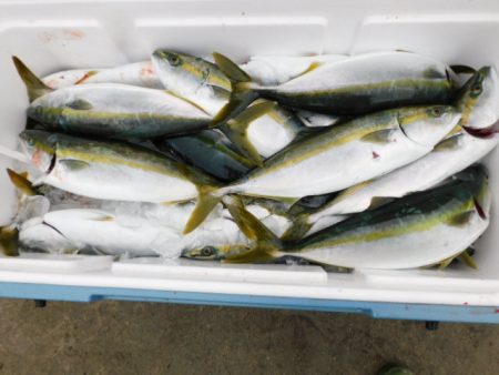 ジギング船 BLUEWATER 釣果