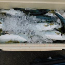 ジギング船 BLUEWATER 釣果