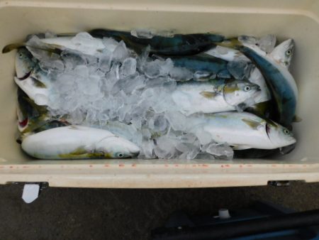 ジギング船 BLUEWATER 釣果