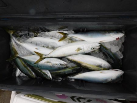 ジギング船 BLUEWATER 釣果