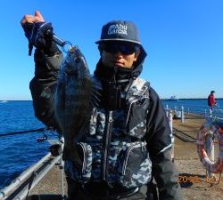 鹿島港魚釣園 釣果