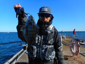 鹿島港魚釣園 釣果