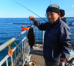 鹿島港魚釣園 釣果