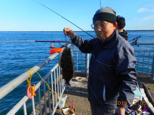 鹿島港魚釣園 釣果