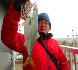 鹿島港魚釣園 釣果