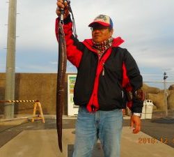 鹿島港魚釣園 釣果