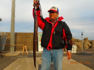 鹿島港魚釣園 釣果