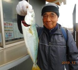 鹿島港魚釣園 釣果