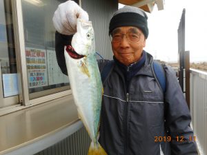 鹿島港魚釣園 釣果