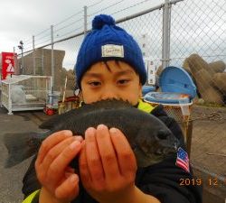 鹿島港魚釣園 釣果