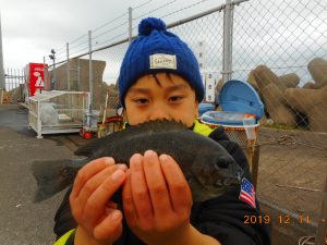 鹿島港魚釣園 釣果