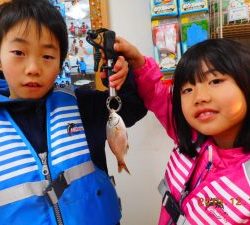 鹿島港魚釣園 釣果