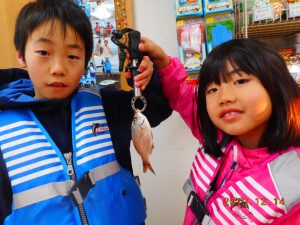 鹿島港魚釣園 釣果