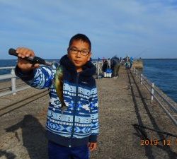 鹿島港魚釣園 釣果