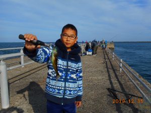 鹿島港魚釣園 釣果