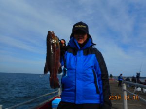 鹿島港魚釣園 釣果
