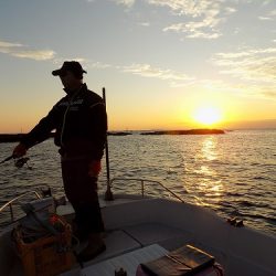 フィッシングボート空風(そらかぜ) 釣果