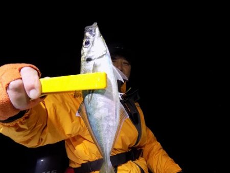 フィッシングボート空風(そらかぜ) 釣果