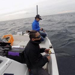 フィッシングボート空風(そらかぜ) 釣果