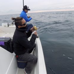 フィッシングボート空風(そらかぜ) 釣果