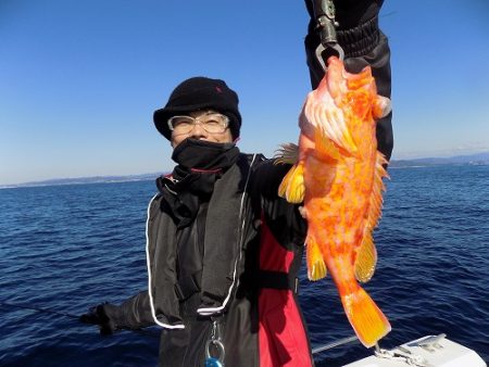 フィッシングボート空風(そらかぜ) 釣果