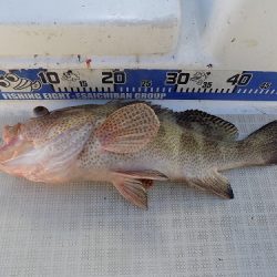 フィッシングボート空風(そらかぜ) 釣果