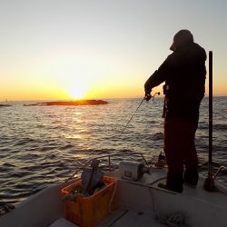 フィッシングボート空風(そらかぜ) 釣果