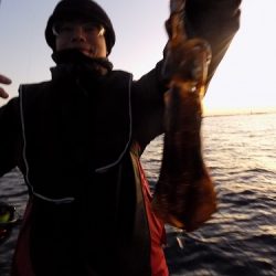 フィッシングボート空風(そらかぜ) 釣果