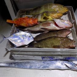 フィッシングボート空風(そらかぜ) 釣果