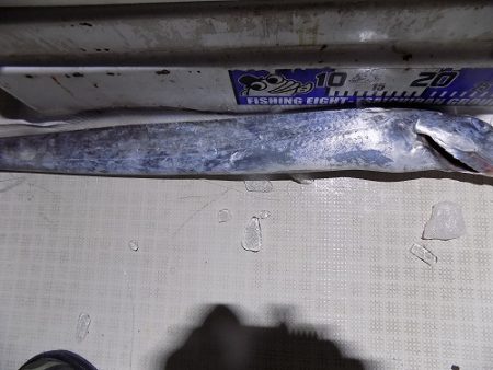 フィッシングボート空風(そらかぜ) 釣果