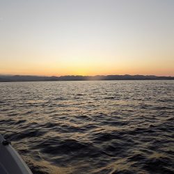 フィッシングボート空風(そらかぜ) 釣果