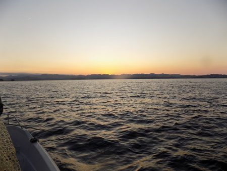 フィッシングボート空風(そらかぜ) 釣果