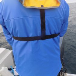 フィッシングボート空風(そらかぜ) 釣果