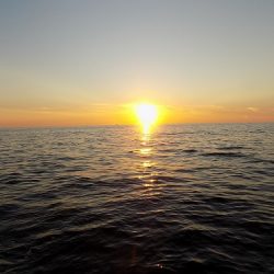 フィッシングボート空風(そらかぜ) 釣果