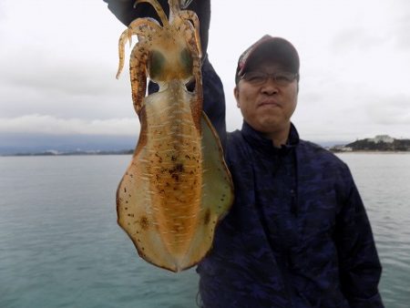 フィッシングボート空風(そらかぜ) 釣果