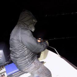 フィッシングボート空風(そらかぜ) 釣果