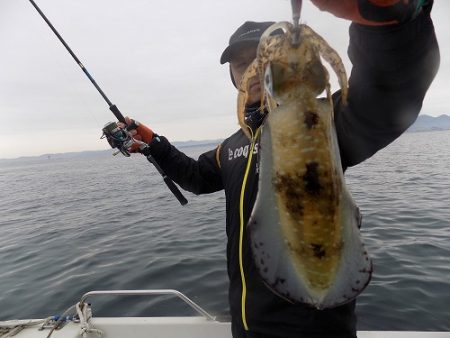 フィッシングボート空風(そらかぜ) 釣果