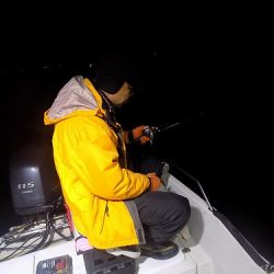 フィッシングボート空風(そらかぜ) 釣果