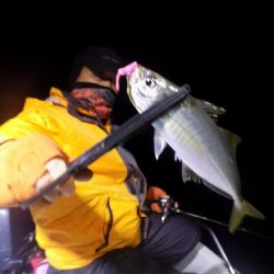 フィッシングボート空風(そらかぜ) 釣果