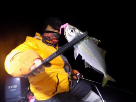 フィッシングボート空風(そらかぜ) 釣果