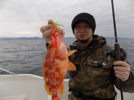 フィッシングボート空風(そらかぜ) 釣果