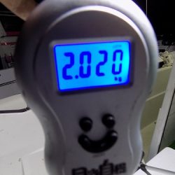 フィッシングボート空風(そらかぜ) 釣果