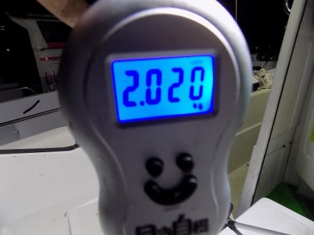 フィッシングボート空風(そらかぜ) 釣果