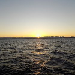 フィッシングボート空風(そらかぜ) 釣果