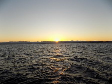 フィッシングボート空風(そらかぜ) 釣果