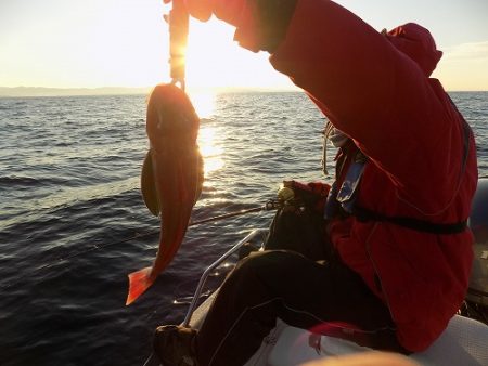 フィッシングボート空風(そらかぜ) 釣果