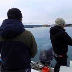 フィッシングボート空風(そらかぜ) 釣果