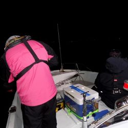 フィッシングボート空風(そらかぜ) 釣果